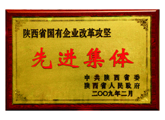 2009年獲得“陜西省國(guó)有企業(yè)改革攻堅(jiān)先進(jìn)集體”稱號(hào)