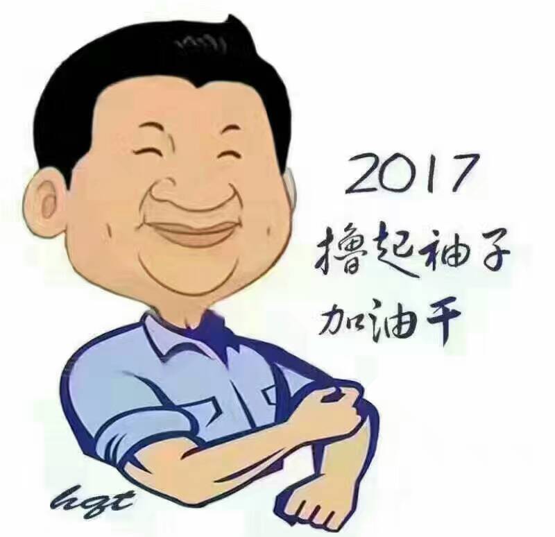 2017年，“大家擼起袖子加油干”！